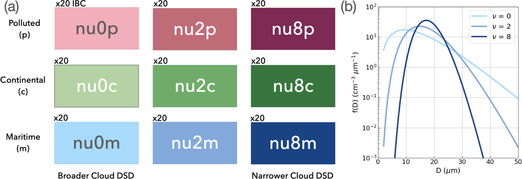 Experimental setup